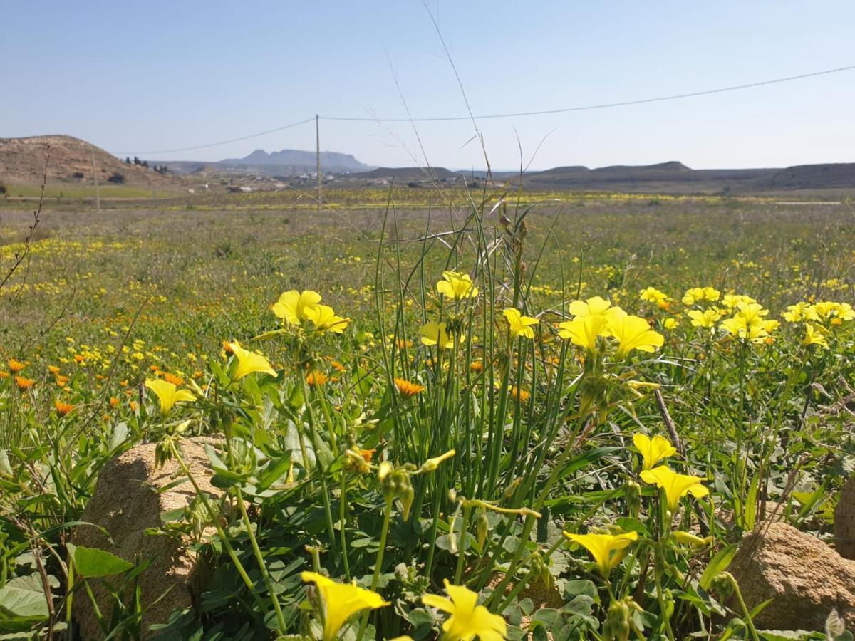 فيلا El Molino De Arriba Níjar المظهر الخارجي الصورة