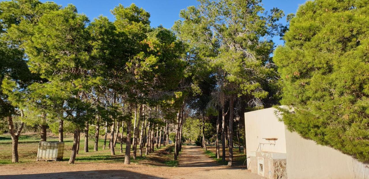 فيلا El Molino De Arriba Níjar المظهر الخارجي الصورة