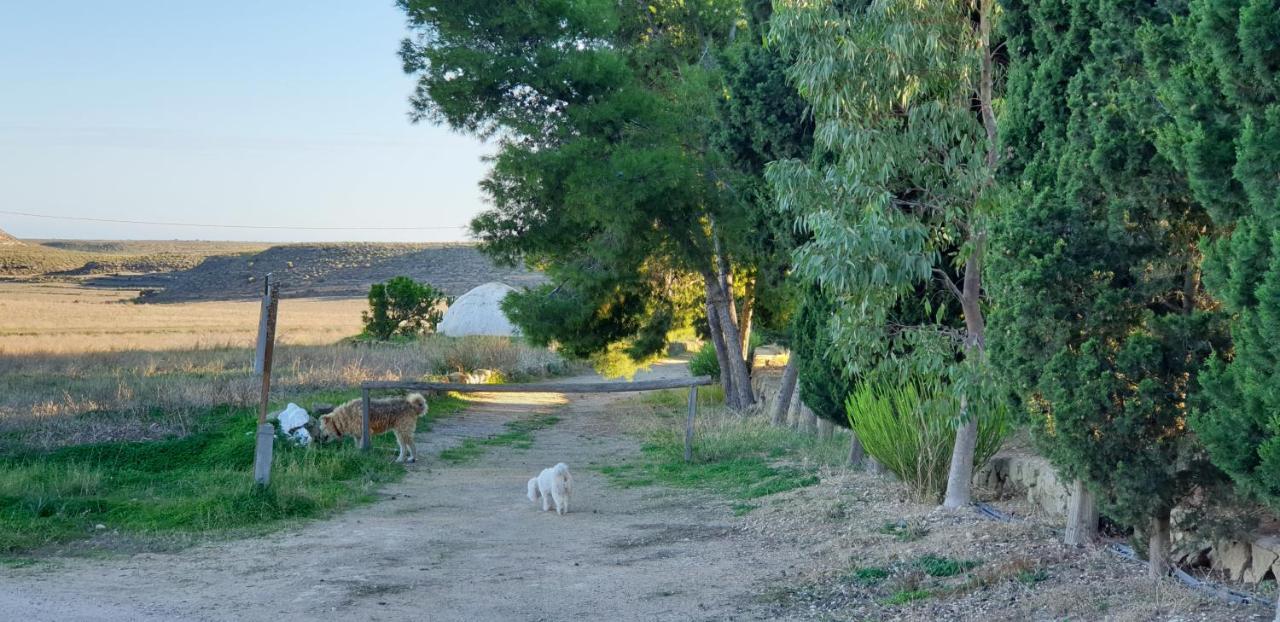فيلا El Molino De Arriba Níjar المظهر الخارجي الصورة