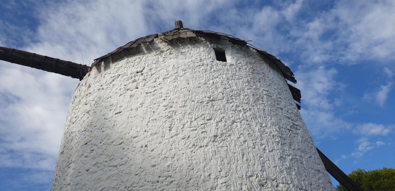 فيلا El Molino De Arriba Níjar المظهر الخارجي الصورة