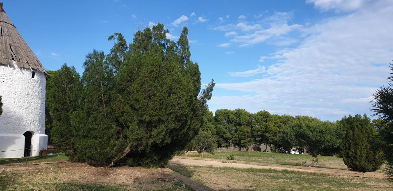 فيلا El Molino De Arriba Níjar المظهر الخارجي الصورة